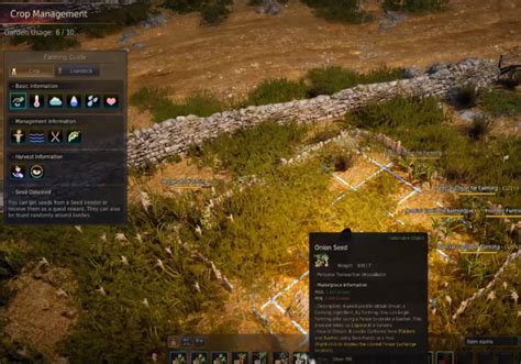 black desert online farming map